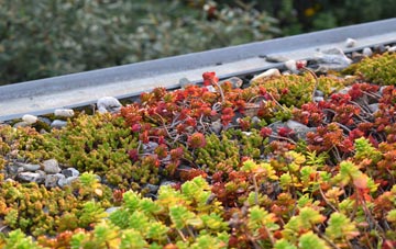 the cost of Aldford green roof installation