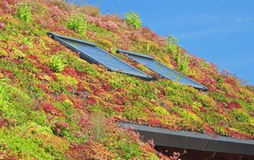 Aldford living roof systems